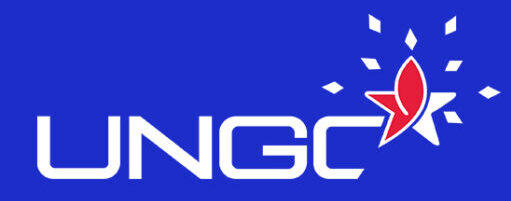 urbannova global consultancy